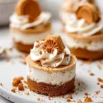 No Bake Mini Biscoff Cheesecakes